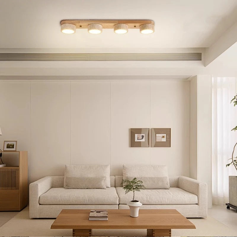 CEILING LIGHT | AURIGA
