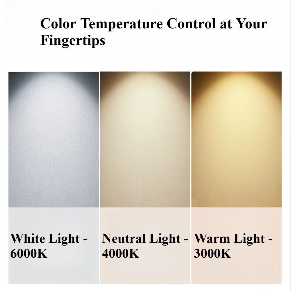 CEILING LIGHT | CARINA